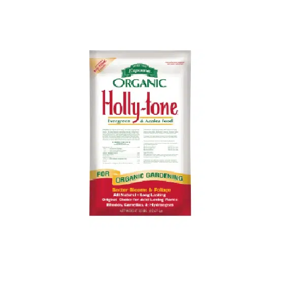Holly Tone - HANDS GARDEN CENTER