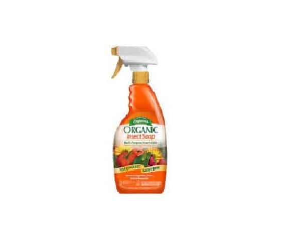 organic insect spray - HANDS GARDEN CENTER
