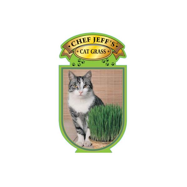 cat grass - HANDS GARDEN CENTER
