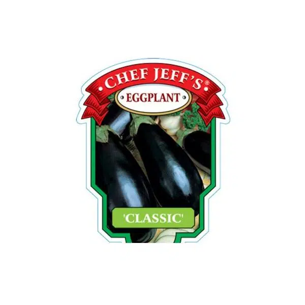 eggplant classic - HANDS GARDEN CENTER
