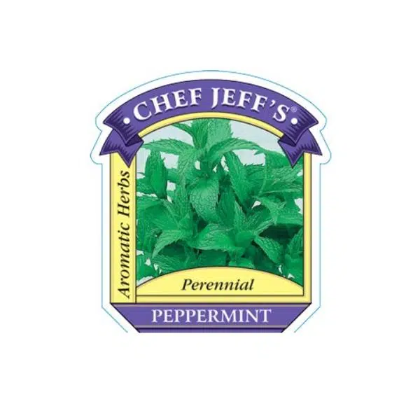 peppermint - HANDS GARDEN CENTER