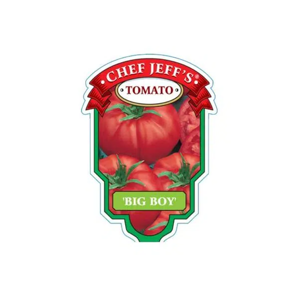 tomato bigboy - HANDS GARDEN CENTER