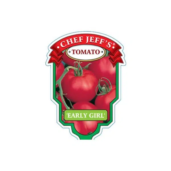 tomato early girl - HANDS GARDEN CENTER