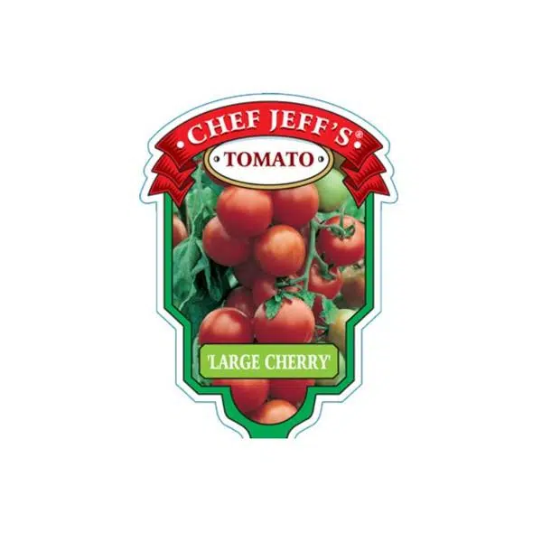 tomato large cherry - HANDS GARDEN CENTER