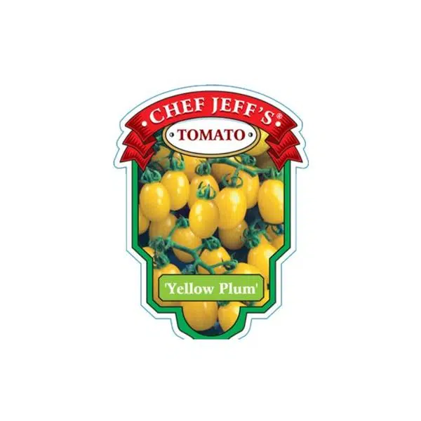 tomato yellow plum - HANDS GARDEN CENTER