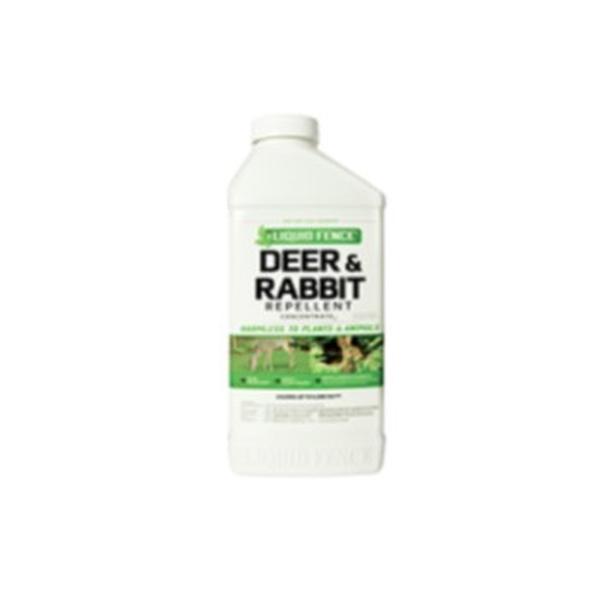 deer and rabbit concent - HANDS GARDEN CENTER