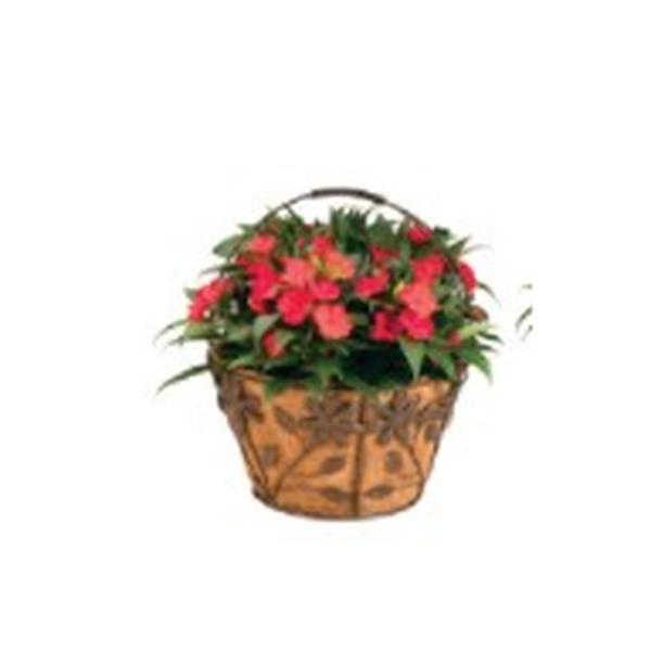 floral basket - HANDS GARDEN CENTER
