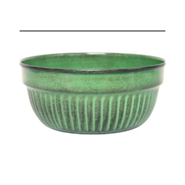 kale bowl - HANDS GARDEN CENTER