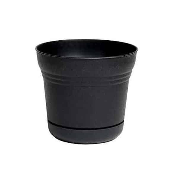 black pot 814174023051 - hands garden cente
