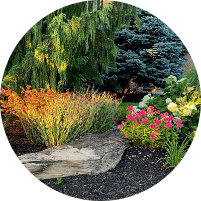 Plants & Trees | Hands Garden Center