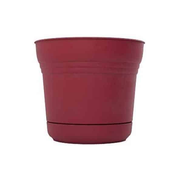 red pot 087404000836 - hands garden center
