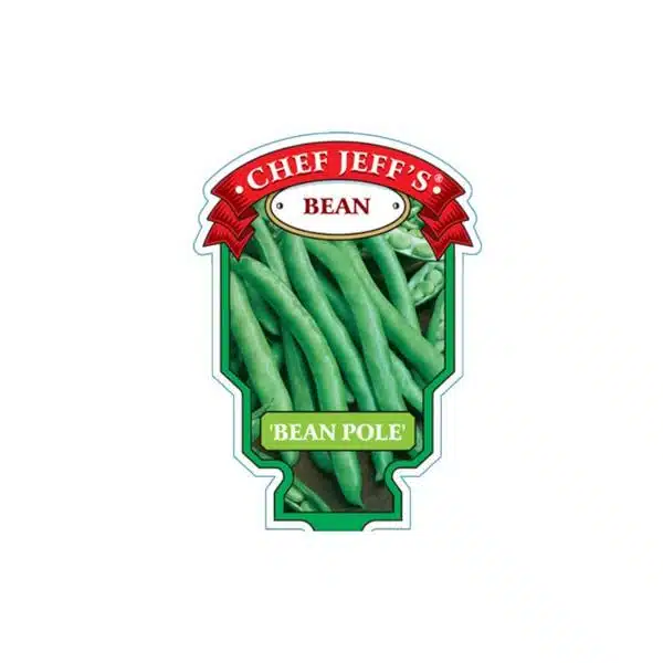 Chef Jeff Bean Pole Green Bean - Hands Garden Center