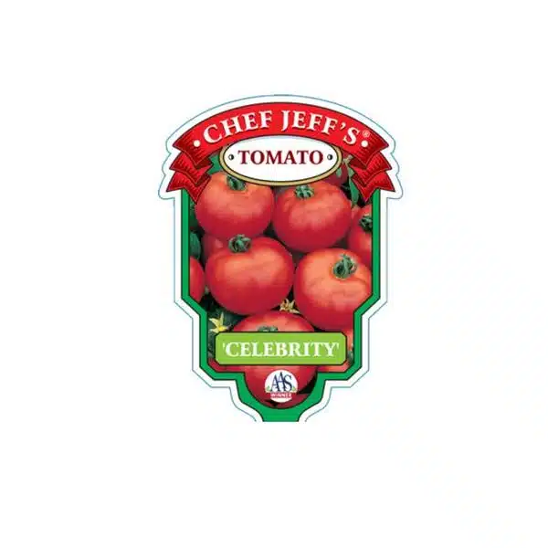 Chef Jeff Celebrity Tomato - Hands Garden Center