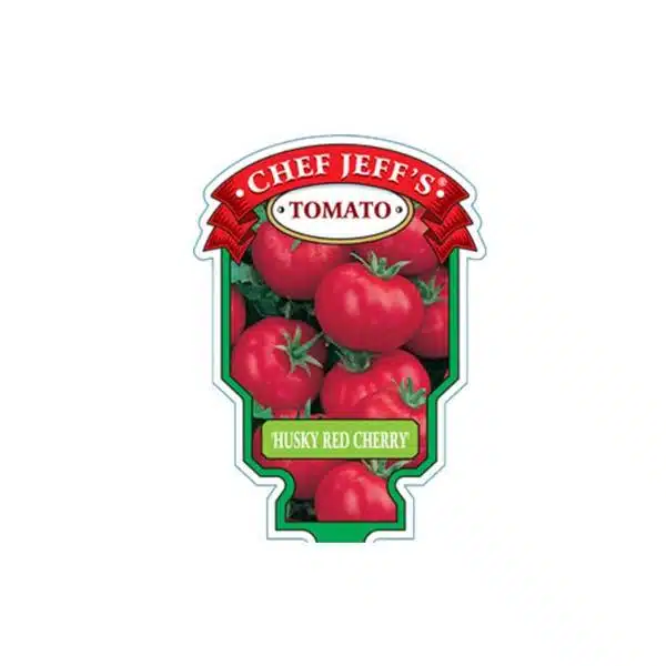 Chef Jeff Husky Red Cherry Tomato - Hands Garden Center
