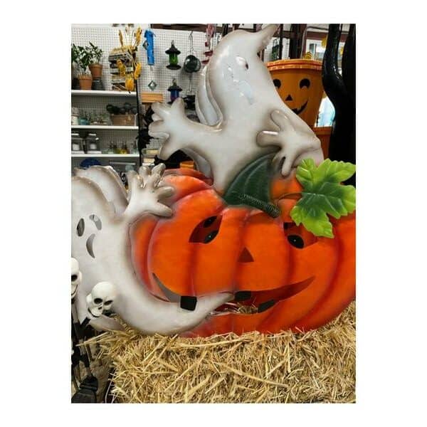 ghost on pumpkin - Hands Garden Center